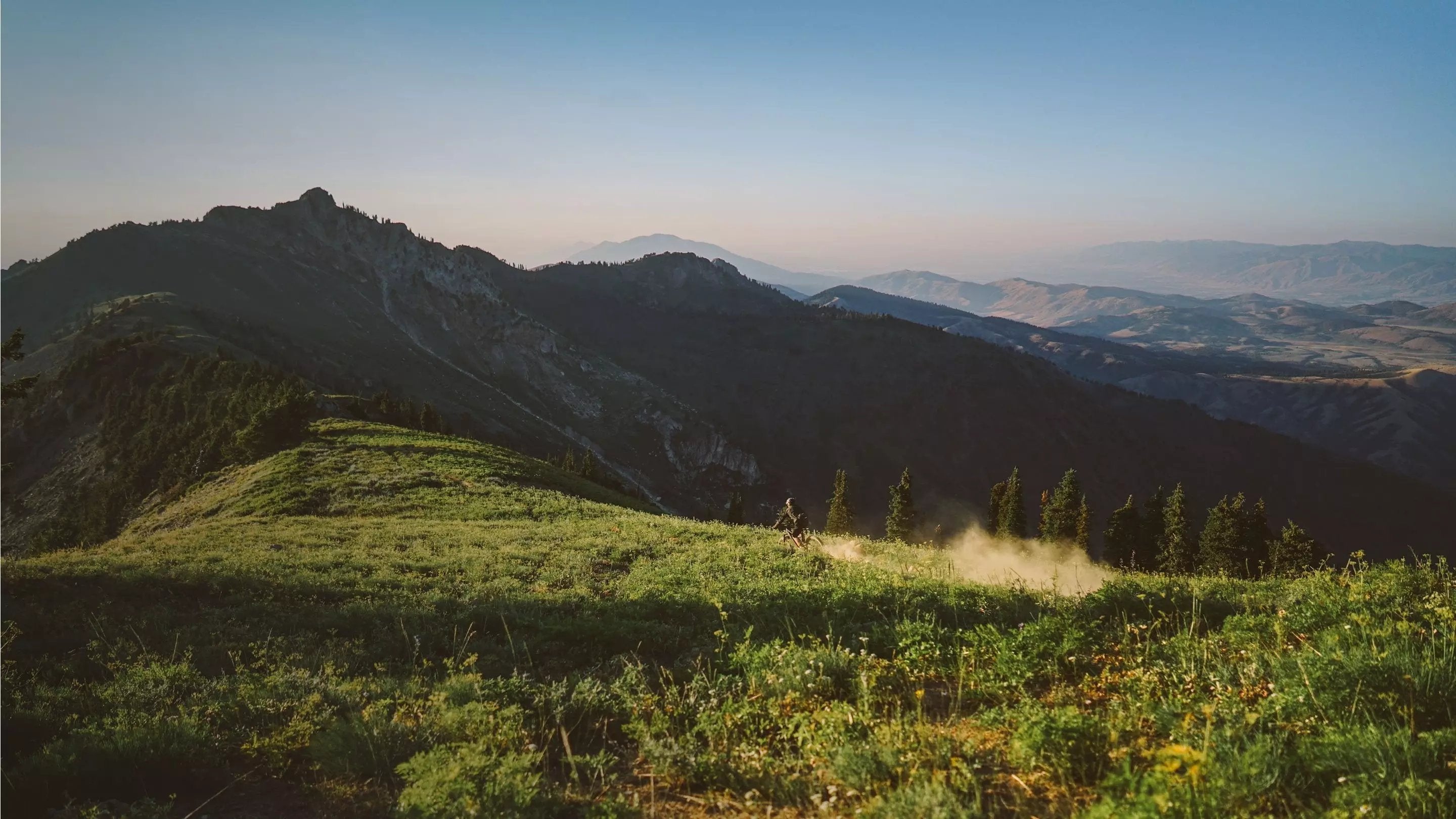 Mountain Bikes