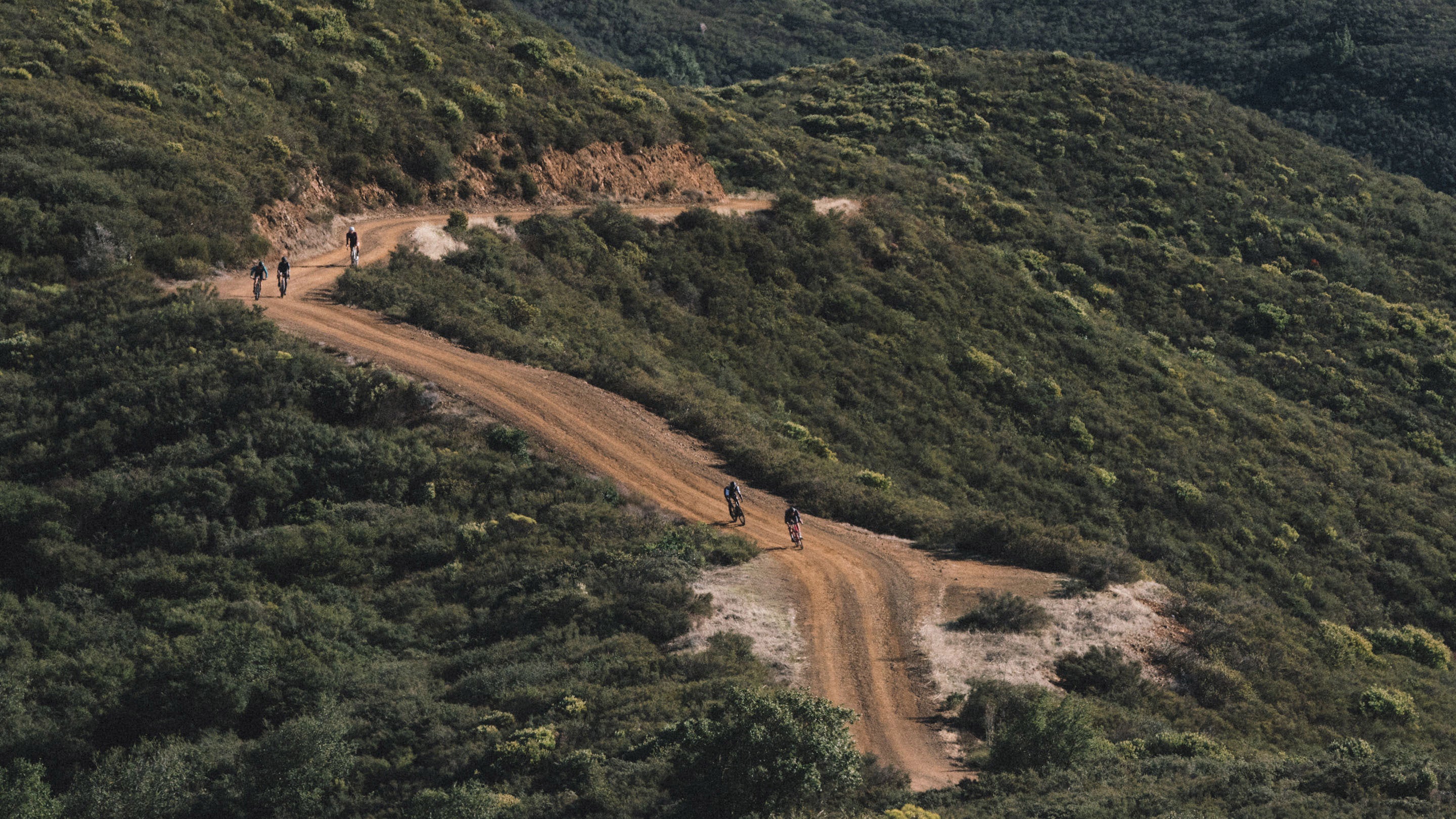 Gravel Bikes